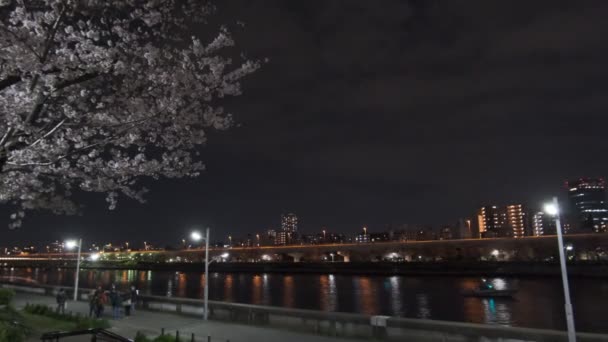 Tokyo Cherry Blossom Noční Pohled 2022 — Stock video