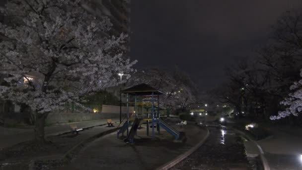 Tokio Kersenbloesem Nachtzicht 2022 — Stockvideo
