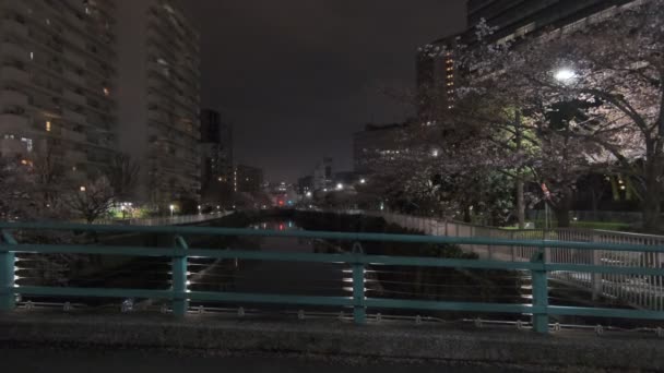 Τόκιο Meguro Ποταμός Κερασιάς Νύχτα 2022 — Αρχείο Βίντεο