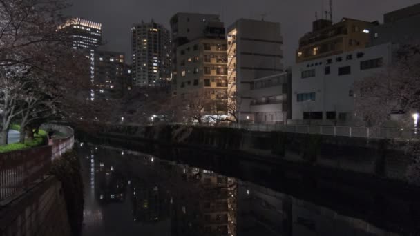 Tokyo Sungai Meguro Cherry Mekar Malam 2022 — Stok Video