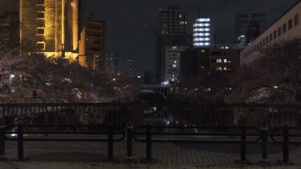 Tokio Meguro River Kirschblütennacht 2022 — Stockvideo