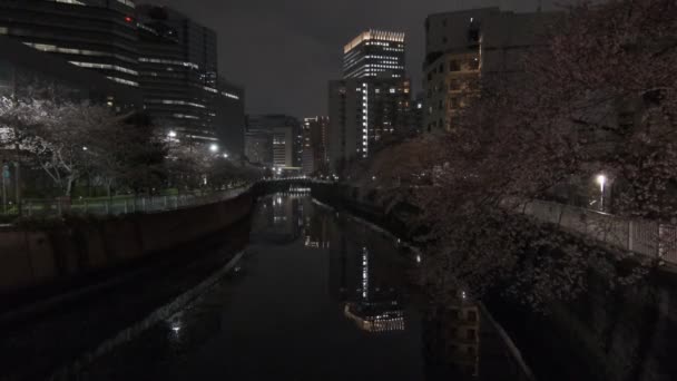 Tokyo Sungai Meguro Cherry Mekar Malam 2022 — Stok Video