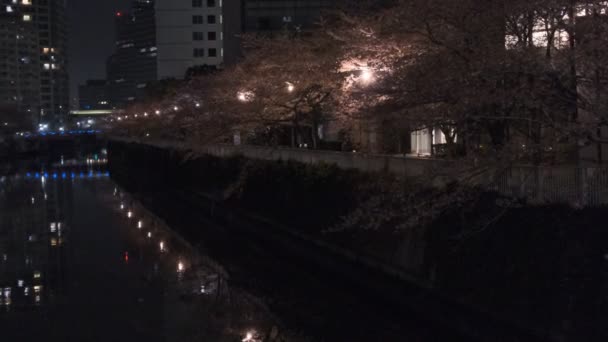 Tokio Meguro Rzeka Wiśnia Kwiat Nocy 2022 — Wideo stockowe