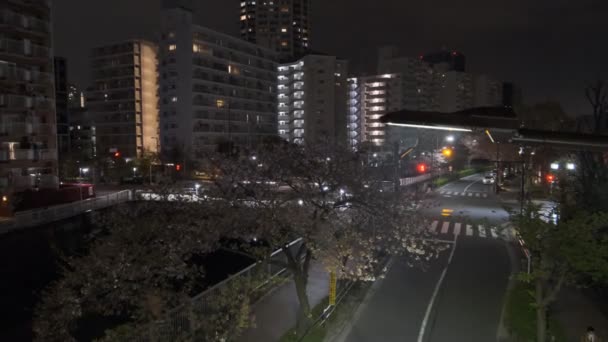 Tokio Meguro Rzeka Wiśnia Kwiat Nocy 2022 — Wideo stockowe