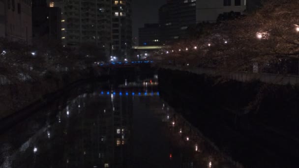 东京梅古鲁河樱花月夜2022 — 图库视频影像