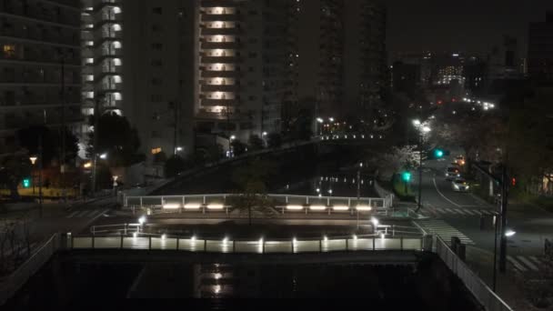 Tokyo Meguro River Noite Flor Cerejeira 2022 — Vídeo de Stock