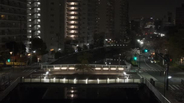 Tokyo Meguro River Cherry Bus Night 2022 — стоковое видео