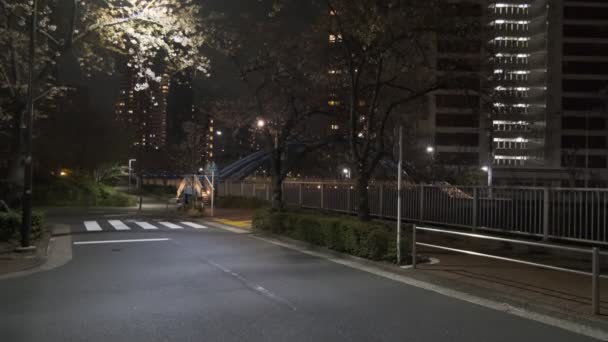 Tokyo Meguro River Noche Flores Cerezo 2022 — Vídeo de stock