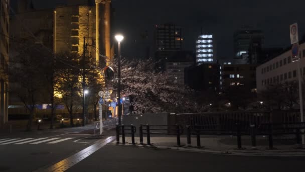 Tokio Meguro Rivier Kersenbloesem Nacht 2022 — Stockvideo