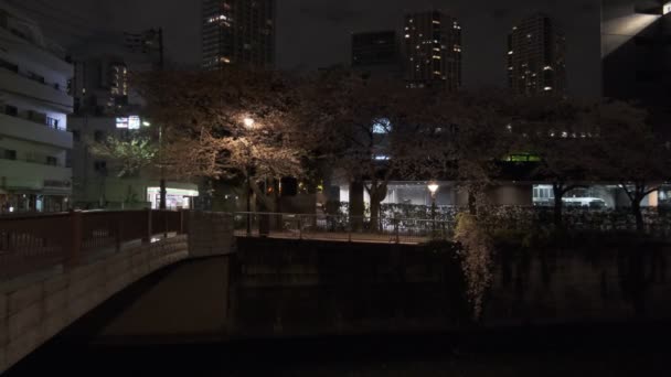东京梅古鲁河樱花月夜2022 — 图库视频影像