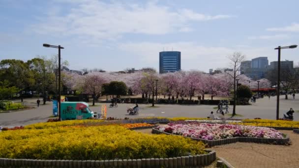 東京桜2022春 — ストック動画