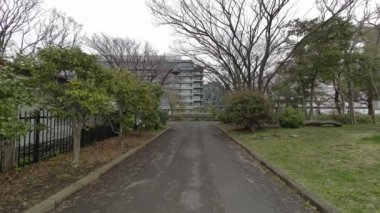 Tokyo Kiraz Çiçekleri 2022 İlkbahar