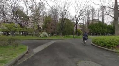 Tokyo Kiraz Çiçekleri 2022 İlkbahar