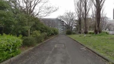 Tokyo Kiraz Çiçekleri 2022 İlkbahar