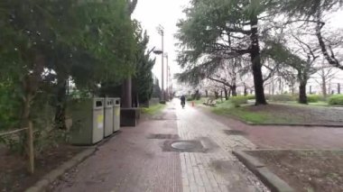 Tokyo Kiraz Çiçekleri 2022 İlkbahar