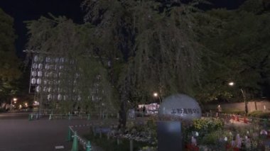 Tokyo Ueno Gece Manzarası 2022 Nisan