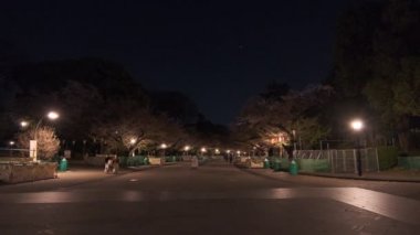 Tokyo Ueno Gece Manzarası 2022 Nisan