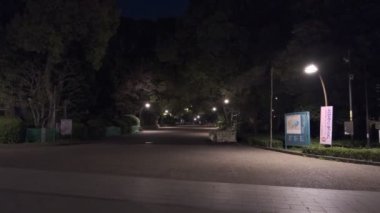 Tokyo Ueno Gece Manzarası 2022 Nisan