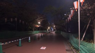 Tokyo Ueno Gece Manzarası 2022 Nisan
