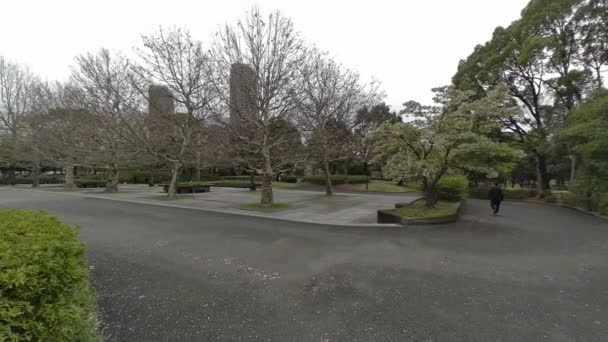 Tokyo Fleurs Cerisier 2022 Printemps — Video
