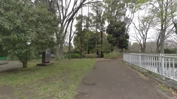 Tokyo Cherry Blossoms 2022 Spring — Stock Video