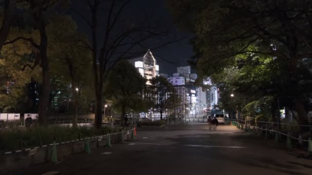 Tokyo Ueno Night View 2022 April — Stock Video