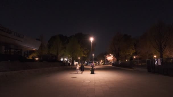 Tokyo Ueno Gece Manzarası 2022 Nisan — Stok video