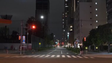 Tokyo Ikebukuro Gece Manzarası 2022