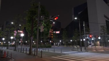 Tokyo Ikebukuro Gece Manzarası 2022