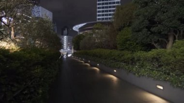 Tokyo Roppongi Hills Gece Manzarası 2022