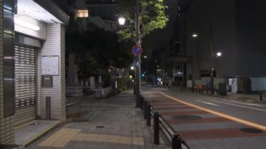 Japonya Tokyo Gece Manzarası 2022