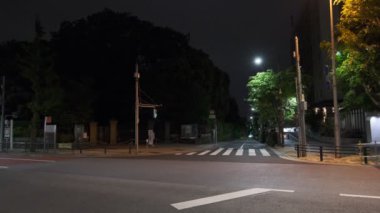 Japonya Tokyo Gece Manzarası 2022