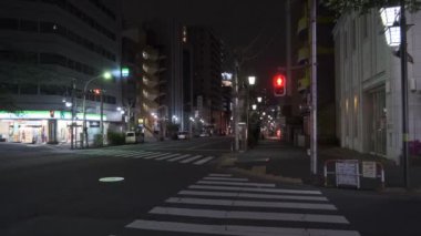 Japonya Tokyo Gece Manzarası 2022