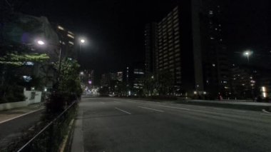 Japonya Tokyo Gece Manzarası 2022