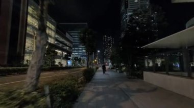 Japonya Tokyo Gece Manzarası 2022