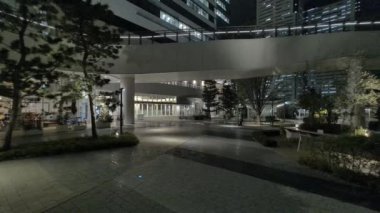 Japonya Tokyo Gece Manzarası 2022