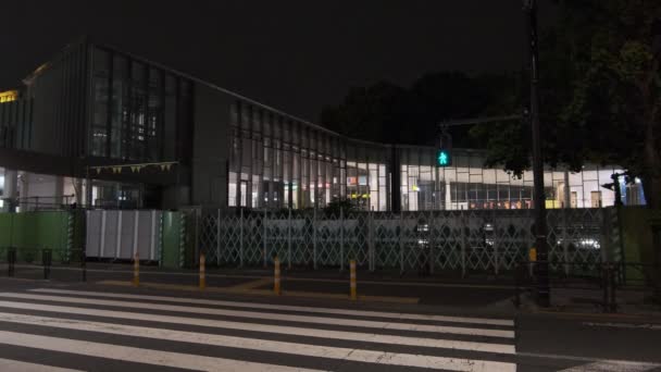 Harajuku Japón Tokio Vista Nocturna — Vídeo de stock