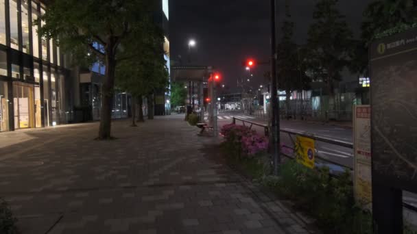 Harajuku Japonya Tokyo Gece Manzarası — Stok video