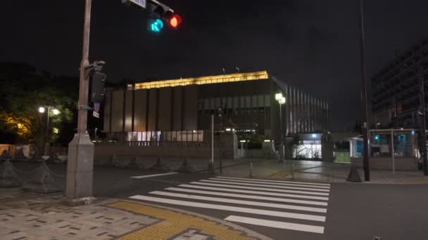 Harajuku Japonya Tokyo Gece Manzarası — Stok video