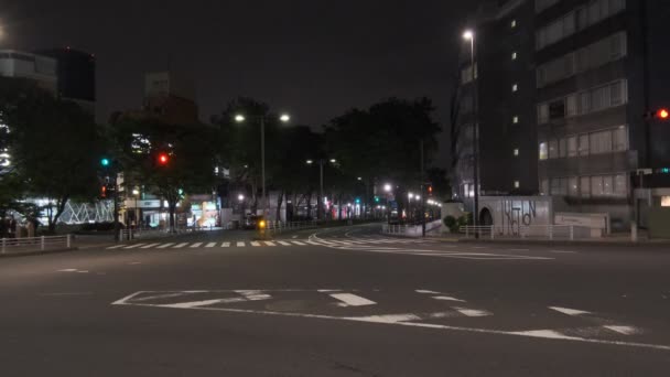 Harajuku Japonya Tokyo Gece Manzarası — Stok video