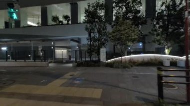 Japonya Tokyo Gece Manzarası 2022