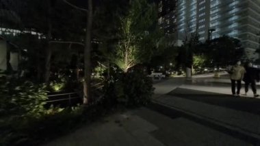 Japonya Tokyo Gece Manzarası 2022