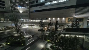 Japonya Tokyo Gece Manzarası 2022