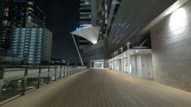 Japonya Tokyo Gece Manzarası 2022
