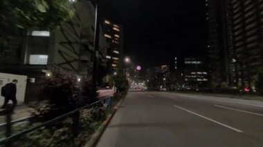 Japonya Tokyo Gece Manzarası 2022