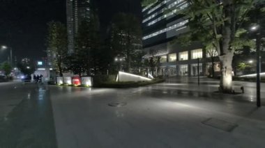 Japonya Tokyo Gece Manzarası 2022
