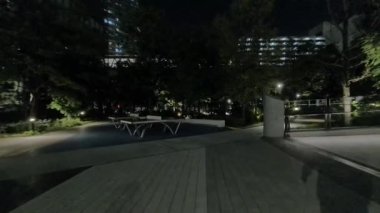 Japonya Tokyo Gece Manzarası 2022