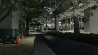 Japonya Tokyo Gece Manzarası 2022