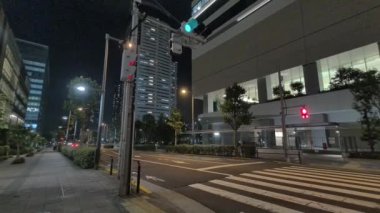 Japonya Tokyo Gece Manzarası 2022