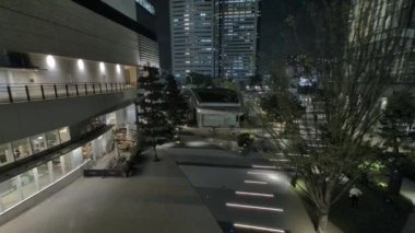 Japonya Tokyo Gece Manzarası 2022